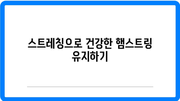 햄스트링 통증 완화! 효과적인 스트레칭 운동 방법 5가지 | 스트레칭, 통증 관리, 운동법