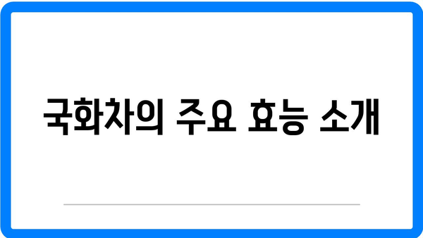 국화차 효능과 영양 성분 완벽 가이드 | 국화차, 건강, 자연 요법