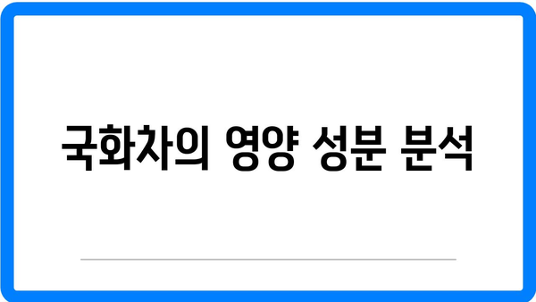 국화차 효능과 영양 성분 완벽 가이드 | 국화차, 건강, 자연 요법
