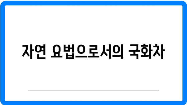 국화차 효능과 영양 성분 완벽 가이드 | 국화차, 건강, 자연 요법