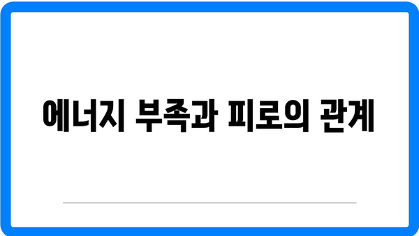 탄수화물 섭취 부족 시 증상과 보충제 가이드 | 건강, 영양, 식단 관리