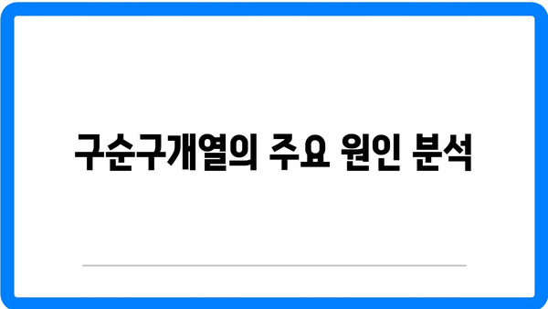 구순구개열 원인 및 증상 : 구순열 구개열