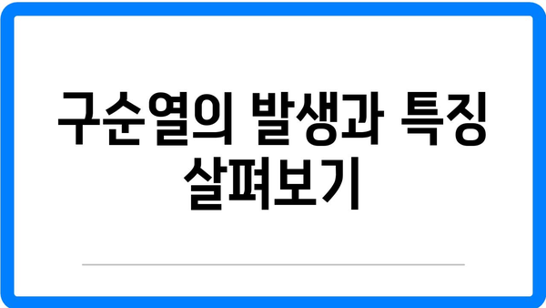 구순구개열 원인 및 증상 : 구순열 구개열