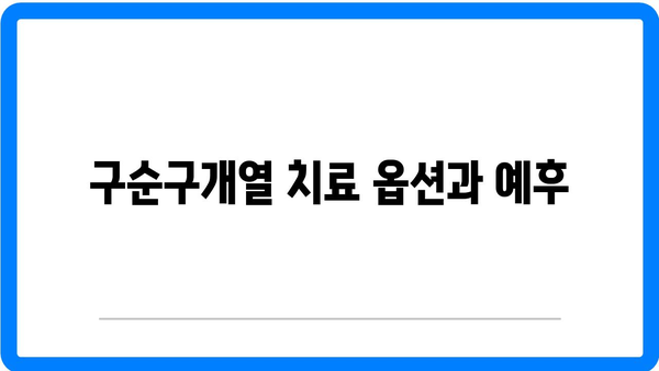 구순구개열 원인 및 증상 : 구순열 구개열