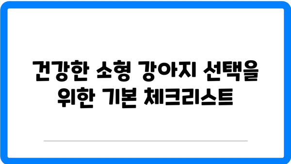 소형 강아지 분양 시 꼭 알아야 할 건강 체크 방법 | 소형 강아지, 건강 관리, 분양 가이드