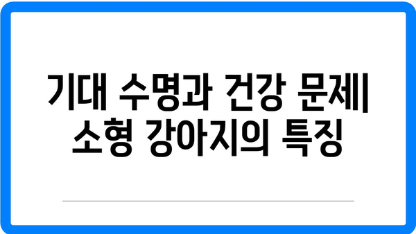 소형 강아지 분양 시 꼭 알아야 할 건강 체크 방법 | 소형 강아지, 건강 관리, 분양 가이드