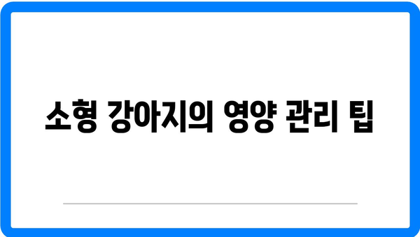 소형 강아지 분양 시 꼭 알아야 할 건강 체크 방법 | 소형 강아지, 건강 관리, 분양 가이드