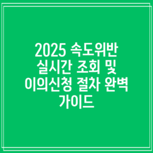 2025 속도위반 실시간 조회 및 이의신청 절차 완벽 가이드