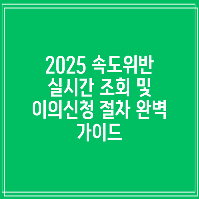 2025 속도위반 실시간 조회 및 이의신청 절차 완벽 가이드