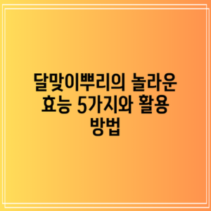달맞이뿌리의 놀라운 효능 5가지와 활용 방법