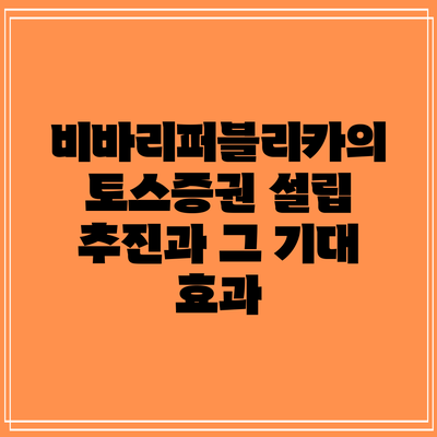 비바리퍼블리카의 토스증권 설립 추진과 그 기대 효과