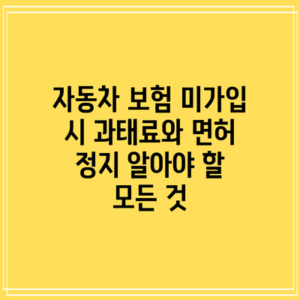 자동차 보험 미가입 시 과태료와 면허 정지: 알아야 할 모든 것