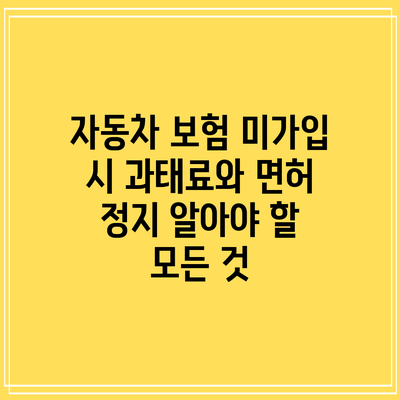 자동차 보험 미가입 시 과태료와 면허 정지: 알아야 할 모든 것