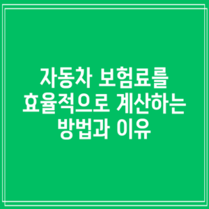 자동차 보험료를 효율적으로 계산하는 방법과 이유