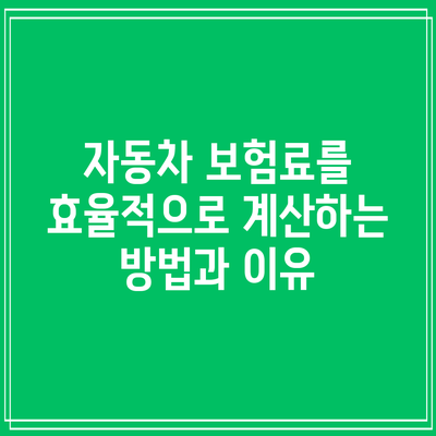 자동차 보험료를 효율적으로 계산하는 방법과 이유