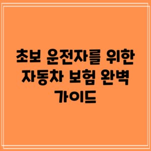 초보 운전자를 위한 자동차 보험 완벽 가이드