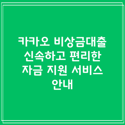 카카오 비상금대출: 신속하고 편리한 자금 지원 서비스 안내