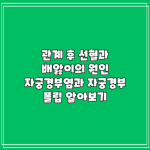 관계 후 선혈과 배앓이의 원인: 자궁경부염과 자궁경부 폴립 알아보기