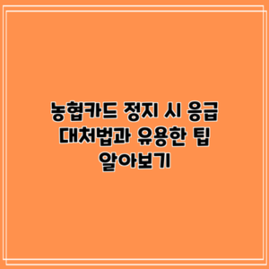 농협카드 정지 시 응급 대처법과 유용한 팁 알아보기