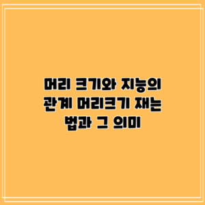 머리 크기와 지능의 관계: 머리크기 재는 법과 그 의미