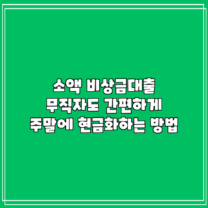 소액 비상금대출: 무직자도 간편하게 주말에 현금화하는 방법