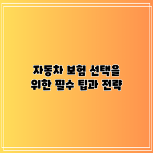 자동차 보험 선택을 위한 필수 팁과 전략