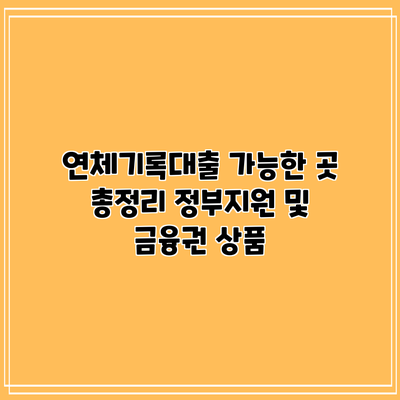 연체기록대출 가능한 곳 총정리: 정부지원 및 금융권 상품