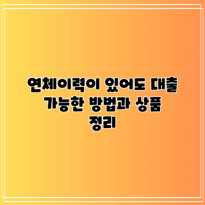 연체이력이 있어도 대출 가능한 방법과 상품 정리