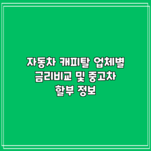 자동차 캐피탈 업체별 금리비교 및 중고차 할부 정보