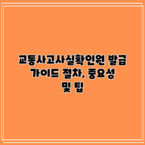 교통사고사실확인원 발급 가이드: 절차, 중요성 및 팁