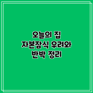 오늘의 집 자본잠식 우려와 반박 정리
